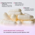 thumbnail image 4 of Probiótico VINATURA Lactobacillus Rhamnosus, Reuteri, Gasseri, Plantarum, 4 of 5
