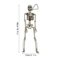 thumbnail image 3 of Halloween Skeleton Decorations 19 Inch Posable Clown Skeleton Spooky Indoor Outdoor Hanging Prop for Haunted House Halloween Party 1 Pack, 3 of 7