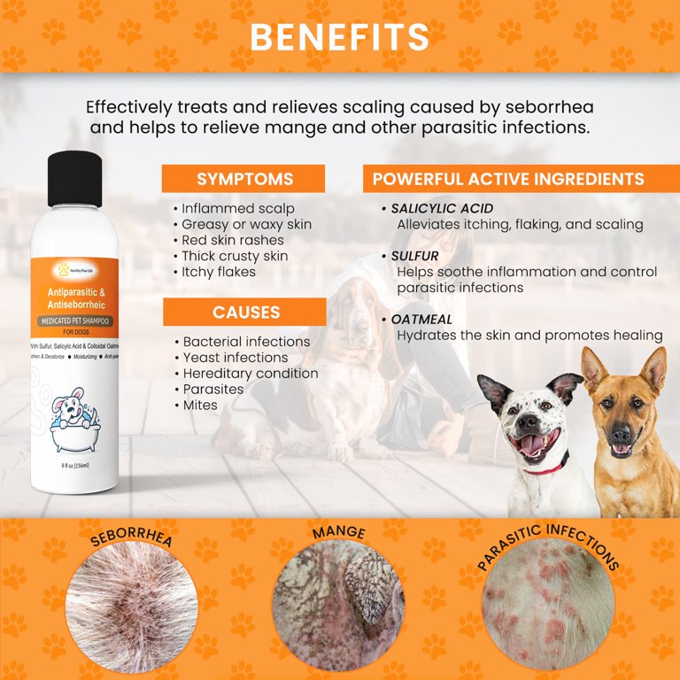 Seborrhea In Dogs Shampoos