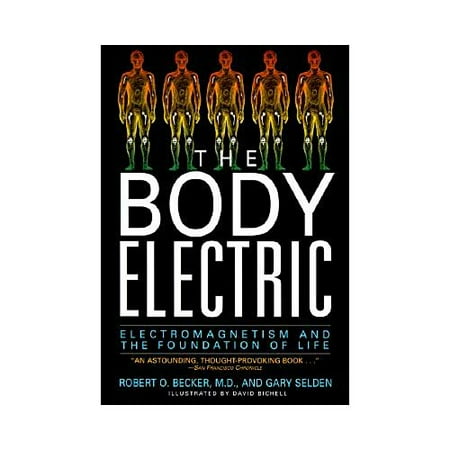 The Body Electric: Electromagnetism and the Foundation of Life