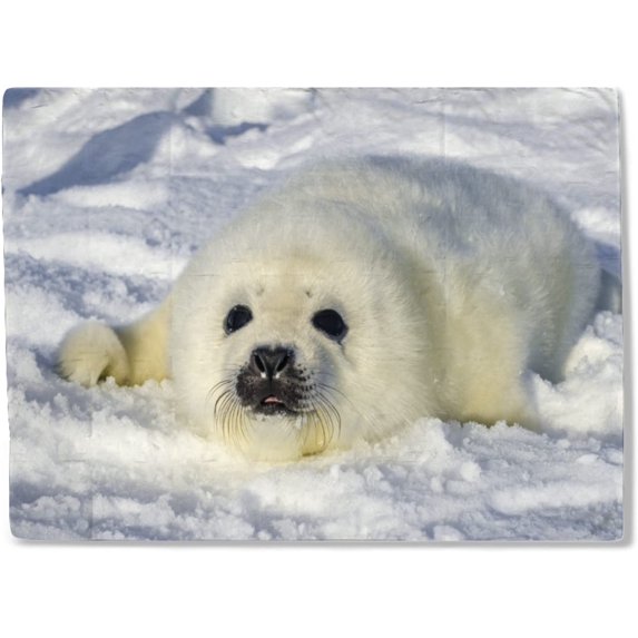 Fleece Blanket Seal Pups Throw Blanket - Super Soft Cozy Lightweight Blanket for Couch, Sofa, Bed, Camping, Travel - Microfiber Blanket Gift