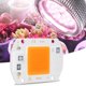 thumbnail image 5 of Fuente integrada de espectro completo de alta potencia para un crecimiento óptimo de las plantas Lámpara de cultivo LED COB SMD de 20 W, 5 of 8