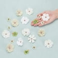 thumbnail image 3 of 100 piezas de flores de colores, 10 colores de tela de seda, flores artificiales pequeñas, rosas, margaritas, peonías, decoración, manualidades florales DIY, 3 of 7