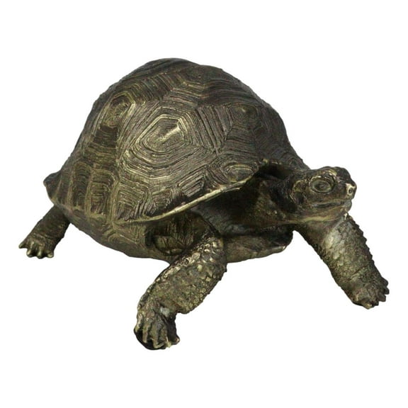 Marine Reptile Lifelike Galapagos Tortoise Taxidermy Replica Figurine 8"L