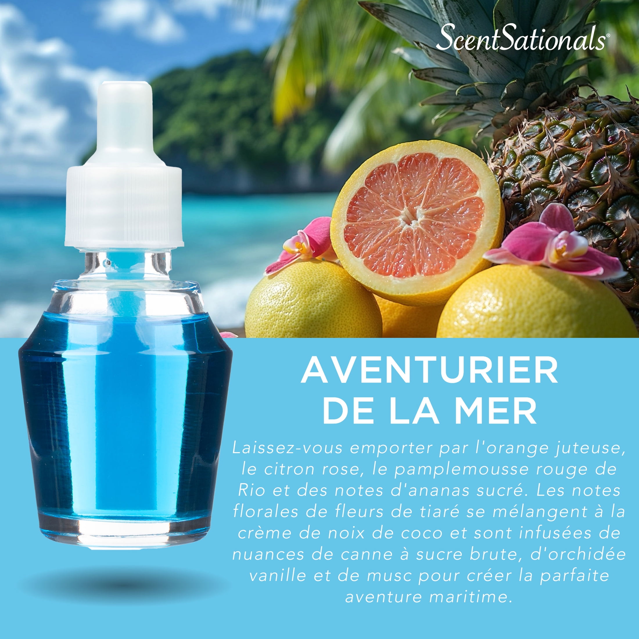 Huile Scent Charm ScentSationals - Sea Seeker