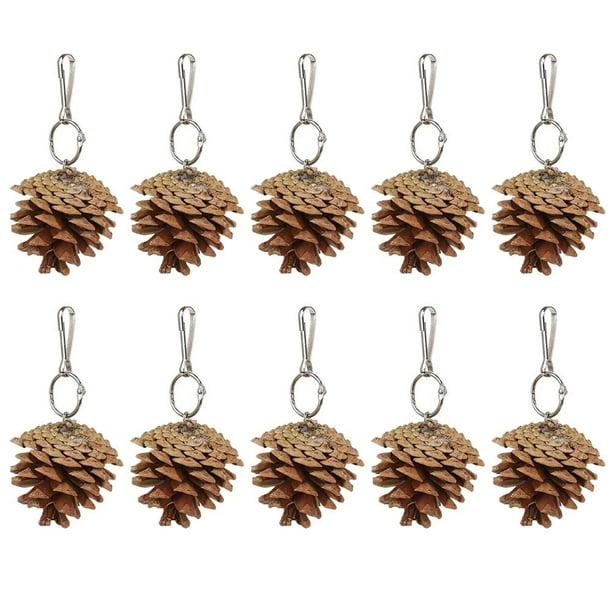 CAIROYAR Juguetes para masticar loros con forma de piña natural, accesorios para jaulas de pájaros, mordedores para loros