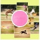 thumbnail image 4 of Discos voladores de entrenamiento de silicona para perros, juguete interactivo para perros, juguete duradero para buscar Rosa 18cm, 4 of 9