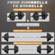 thumbnail image 4 of Juego de mancuernas KISS GOLD ajustables de acero, 10 kg, 20 kg, 30 kg, 40 kg, 4 of 9