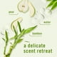 thumbnail image 3 of Ambientador Febreze Plug In Bamboo Scent, kit de inicio, 3 of 9