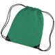 thumbnail image 1 of Bagbase - Mochila saco o de cuerdas Impermeable/resistente al agua Modelo Premium Deporte/Gimnasio (11 litros) - 34 Colores (Verde césped), 1 of 1