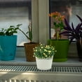 thumbnail image 3 of STRANDCHIC 2-Pack Beige Decorative Indoor Plastic Pots for Orchids, Bonsai, , and Small Plants, 3 of 5