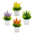 thumbnail image 1 of Plantas Artificiales Decorativas con Macetas, 4 pzs, COLORES, 1 of 5