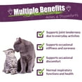 thumbnail image 4 of Amber NaturalZ Adizone C for Cats | Herbal Supplement for Mobility & Joint Support 4oz, 4 of 6
