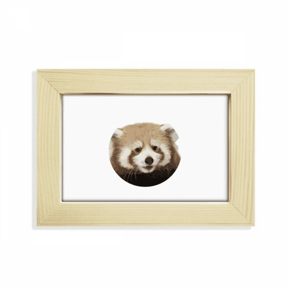 Brown Jungle Civet Cats Lovely Little Desktop Decorate Photo Frame Picture Art Painting 5x7 inch