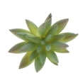 thumbnail image 2 of 10 x Succulenta Artificial Decoración de Hogar Jardín Oficina Materiales de Bricoje DIY de Plástico Baoblaze Planta Succulenta Artificial, 2 of 6
