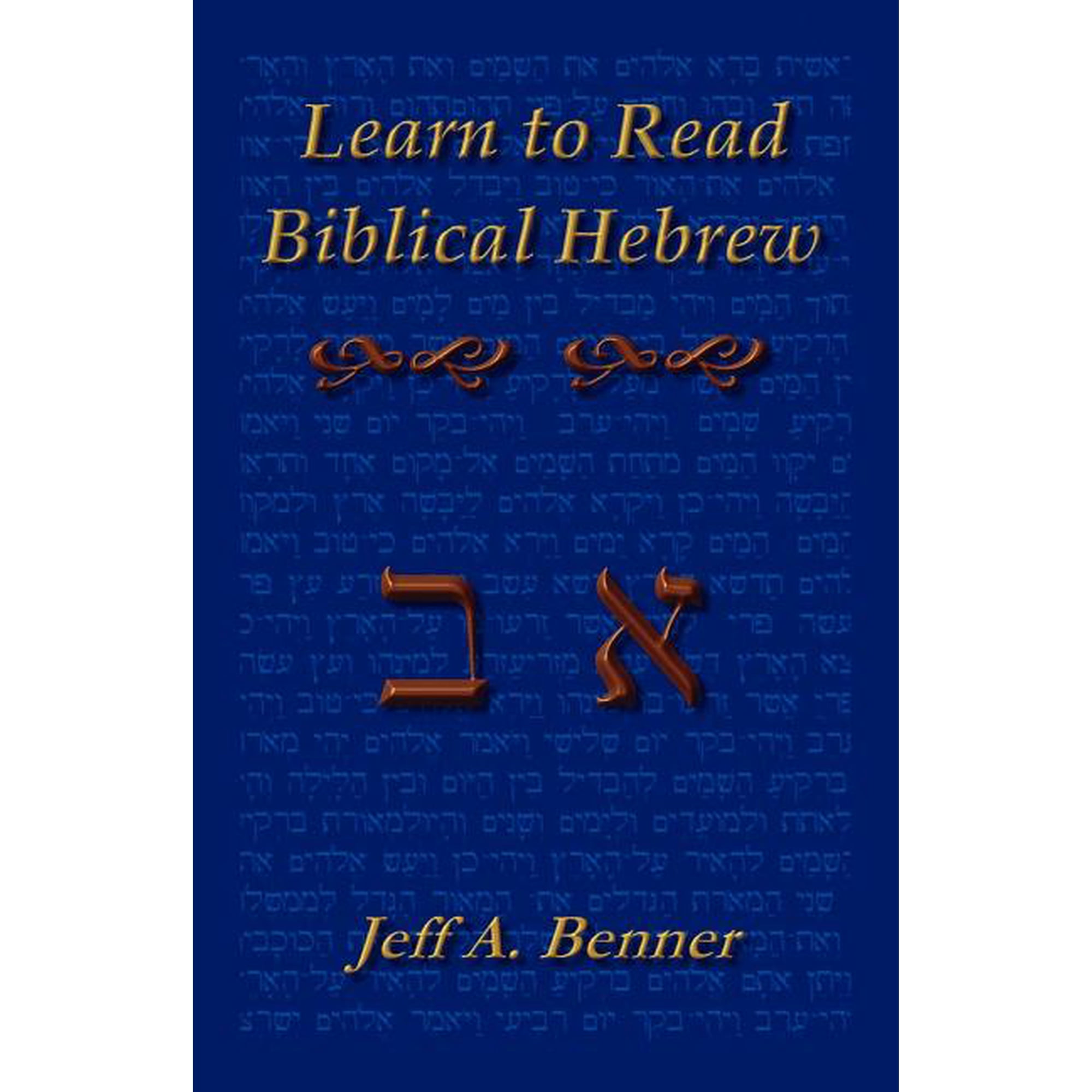 Learn Biblical Hebrew: A Guide to Learning the Hebrew Alphabet Vocabulary and Sentence Structure of the Hebrew Bible (Paperback)