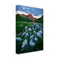 thumbnail image 3 of Trademark Fine Art Mei Xu Blue Columbine Paradise Canvas Wall Art - 30x47, 3 of 5