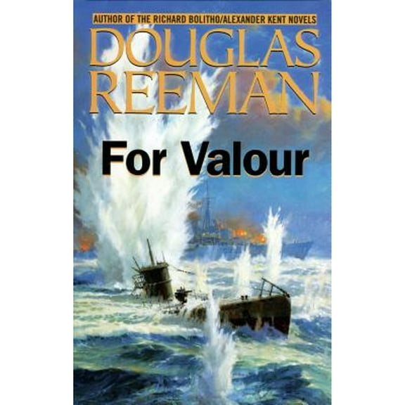 For Valour (Paperback)