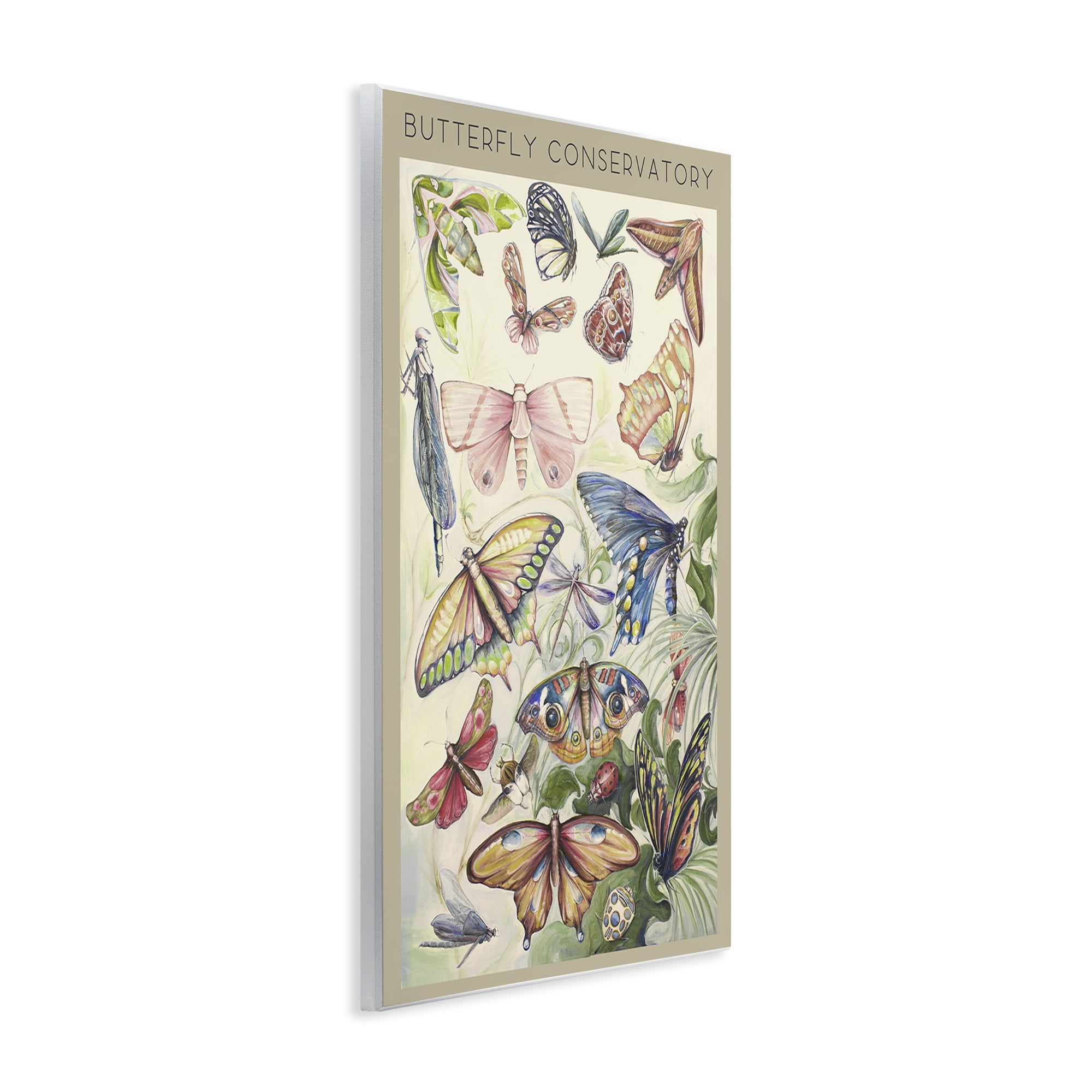 Stupell Industries Butterfly Conservatory Insects Wall Plaque Art, design by Diannart