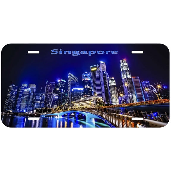 Singapore TAG05 Novelty Car Auto License Plate