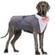 thumbnail image 1 of Set de corbatín formal DORA BRIDAL 2XL con esmoquin para perro, 1 of 7