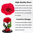 thumbnail image 4 of Preserved Roses Black Roses in Glass Dome, Medium, Real Rose That Last 2 to 3 Years, Black Roses Gifts for Her (7.5 inch), 4 of 12