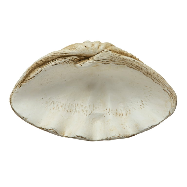 Conchiglia Decorativa In Magnesia Per Arredamento – Stile Nautico E Naturale, Colore Avorio, 41 Cm - 3