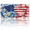 American Flag with Daisies, variant on 1 Pcs License Plate Covers & Frames, Pink Roses Butterflies and Heart For Decorative Front, Waterproof For Decoration Aluminum License Plate Covers & Frames Cover For Men Women, 12" X 6"