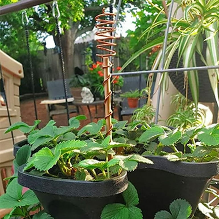 Copper Spiral Plant Sticks, Spiral Plant Stakes, Stem Supporters
