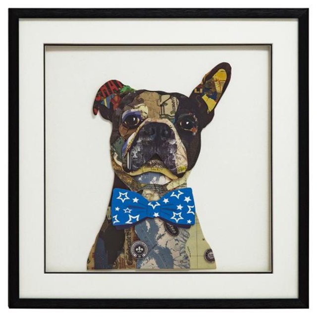Yosemite Home Decor 3120043 Hipster Levrette-Ii Imprimé Cadre Photo & 44; Multicolore