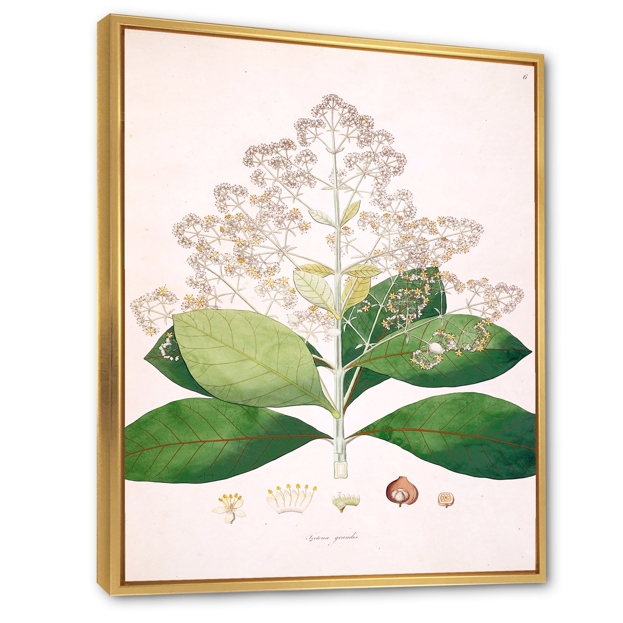 Designart 'Ancient London Plants III' Farmhouse Framed Canvas Wall Art Print