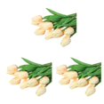 thumbnail image 1 of Inteprter Paquete de 10 hermosas flores de PU para decoración de fiestas, hechas de champán sin marchitamiento, no tóxico, buena sensación de Type1 NO1, 1 of 6