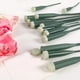 thumbnail image 5 of Paquete de 25 tubos de agua de 15 cm para orquídeas y flores frescas. Tubos de hidratación y nutrición para arreglos florales y cuidado de plantas., 5 of 6