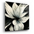 thumbnail image 2 of Epic Art 'Flowers Black White 32' by Ray Heere, Acrylic Glass Wall Art, 24"x24", 2 of 8
