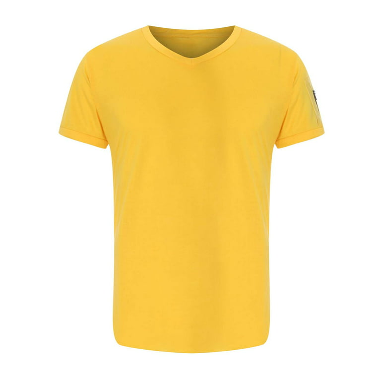 Brnmxoke Men's Summer Short Sleeve T-shirts Casual Plain V Neck Slim Fit  Muscle Shirt Workout Gym Bodybuilding Sweatshirt