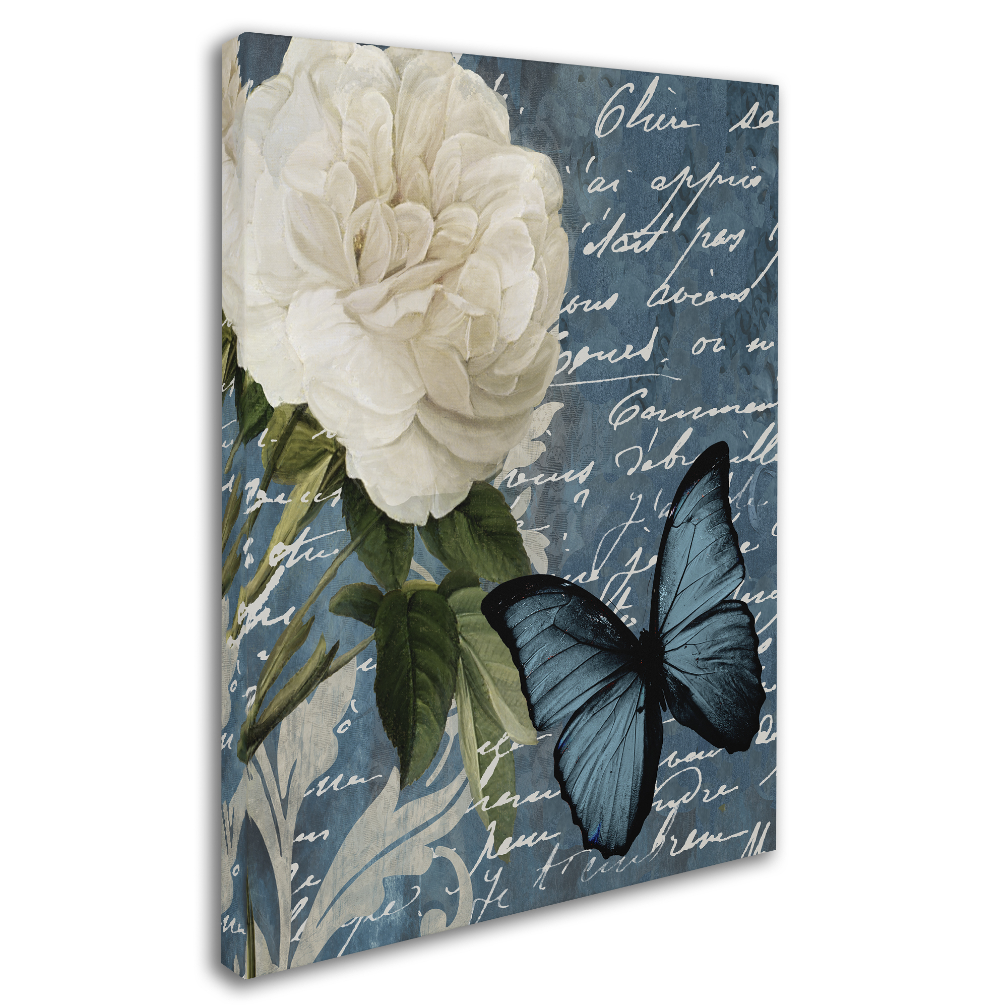 Trademark Fine Art "Anastasia" Canvas Art by Color Bakery