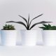 thumbnail image 4 of HEALEEP Rama Decorativa De Hojas De Artificial Verde Para Oficinas Y Eventos, 4 of 8
