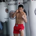 thumbnail image 3 of FLUORY Muay Thai Shorts Free Combat Mixed Martial Arts Boxing Training Match Pants Fashion Style, 3 of 5