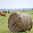 thumbnail image 1 of Filet à Foin Rond pour Chevaux, Filets à Foin de 6 X 6 Pi avec Trous de 1,75 Po, Filet à Foin à Alimentation Lente pour Chevaux et Bétail, Trous pour Balles Rondes 4 X 4, 5 X 5, 6 X 6 Pi Ou Balles Carrées 3 X 3 X 8, 4 X 4 X 8, 5 X 5 X 8 Pi, 1 of 6