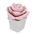 thumbnail image 3 of Northlight 4.25" Ceramic Succulent Artificial Potted Plant - Pink, 3 of 4