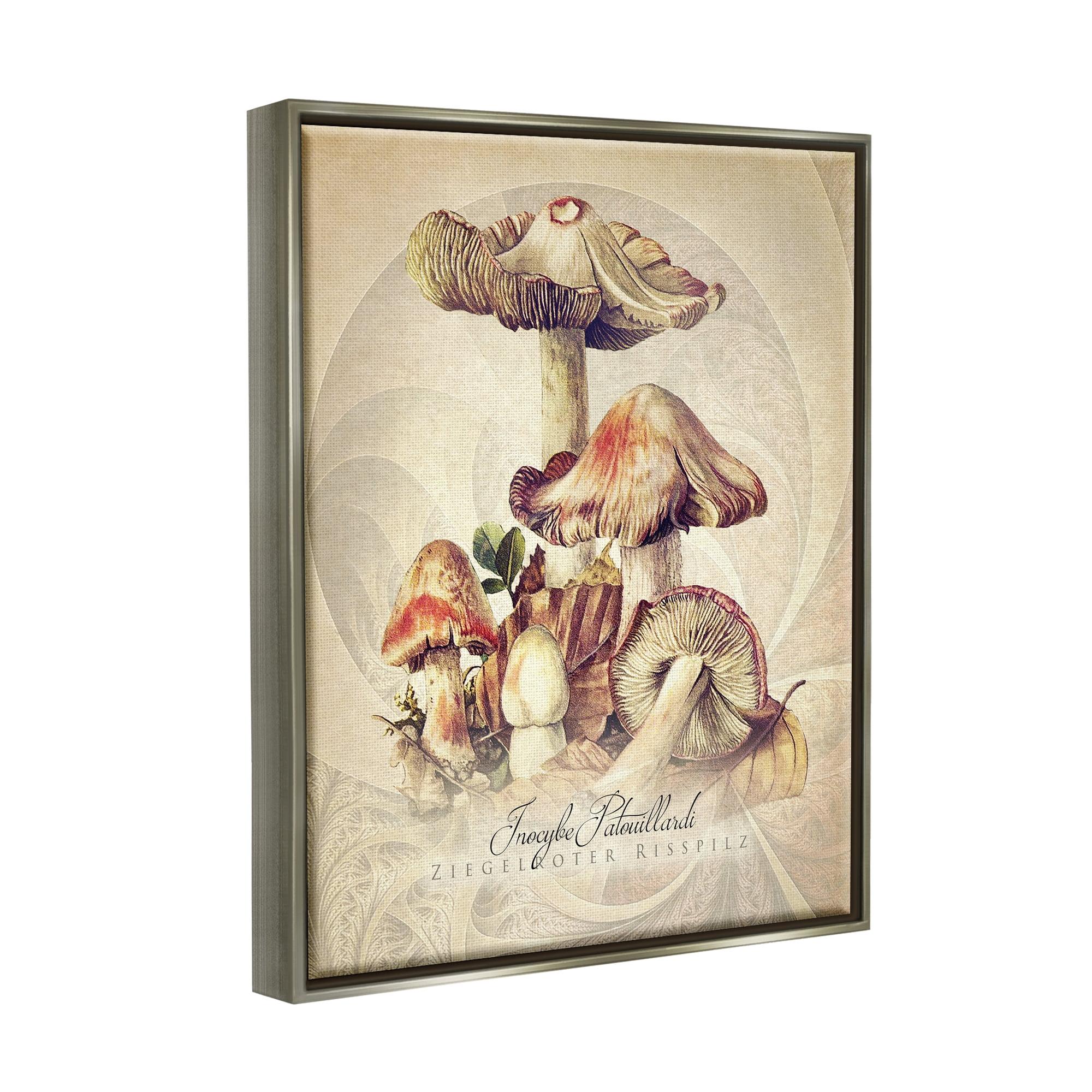 Stupell Industries Vintage Detailed Mushroom Nature Botanical & Floral Painting Gray Floater Framed Art Print Wall Art
