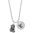 thumbnail image 1 of Delight Jewelry Two-tone Dragon with Crystals Silvertone Script Initial Disc - C - Charm Necklace, 20"+3", 1 of 4
