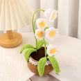 thumbnail image 4 of Handmade Crochet Flower Potted Hand-Woven Flowers, Birthday Gifts for Family Friends Women and Girlfriends, Mother'S Day Graduation Anniversary Home Decor, 4 of 6
