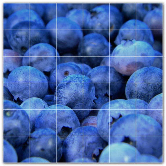 Picture-Tiles.com: Fruit Ceramic Tile Wall Mural WAL500677-66L. 48"W x 48"H using (36) 8" x 8" Ceramic Tiles-Satin Finish