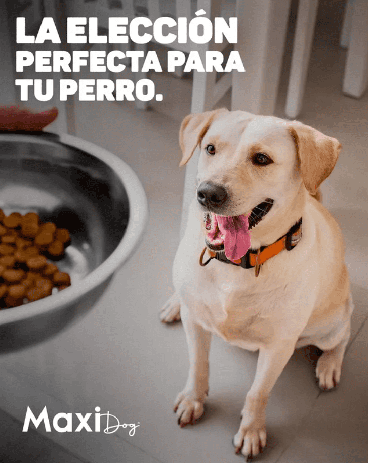 Maxidog Balanced Dog Food 39.6lb