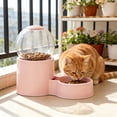 Photo inspiration: Automatic Animal Feeders Reference: Acdanc Automatic Dog Feeder With Food Storage Container Pet Smart