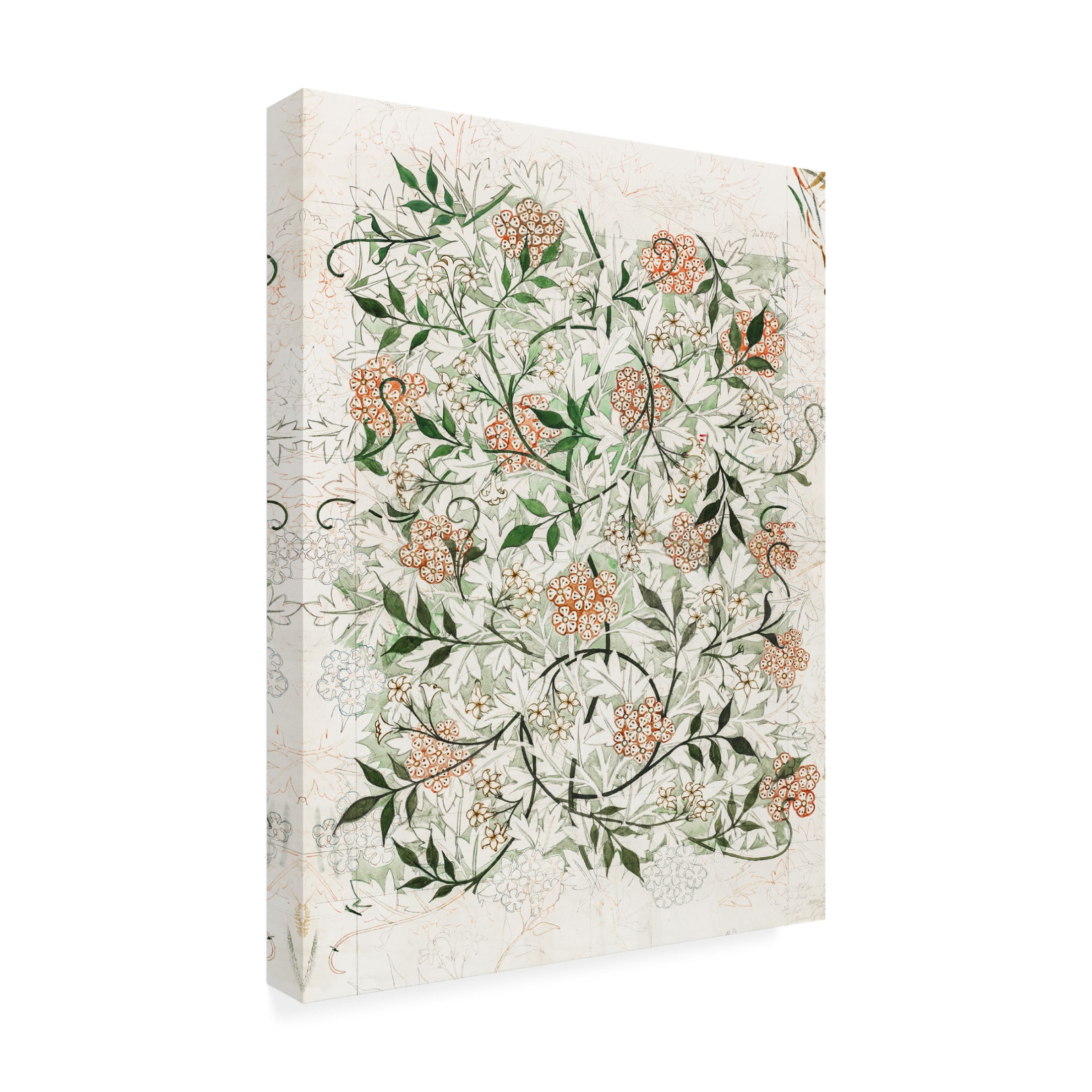 Trademark Fine Art William Morris  Wm Morris Floral Pattern Studies II Canvas Wall Art