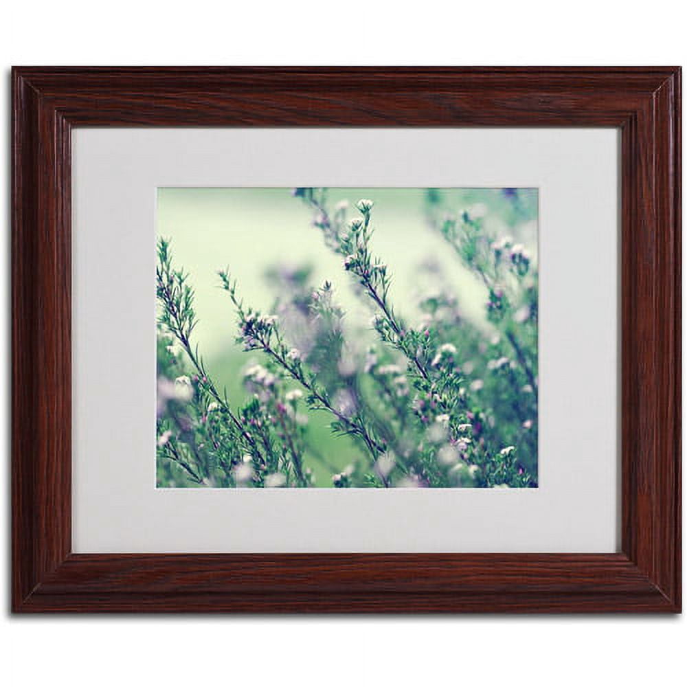 Trademark Fine Art "Memories of Summer" Framed Canvas Art by Beata Czyzowska Young