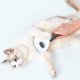 thumbnail image 4 of QPENWEI Gris Brosse pour Chien/Chat Brosse de Toilettage Autonettoyante pour Animaux Toilettage et élimination du sous-Poil Brosse pour Animaux Enlever 95% des Poils Morts, 4 of 4