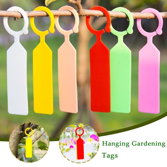 100 Pcs T-Type Plant Labels — 4.3in x 1in, Plastic Garden Markers, Reusable & Weatherproof for Pots, Trees and Herbs(White)